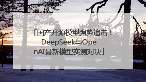 国产开源模型强势追击！DeepSeek与OpenAI最新模型实测对决
