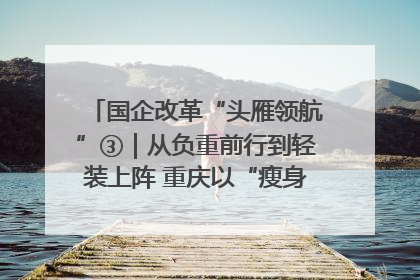 国企改革“头雁领航”③｜从负重前行到轻装上阵 重庆以“瘦身”谋“健体”