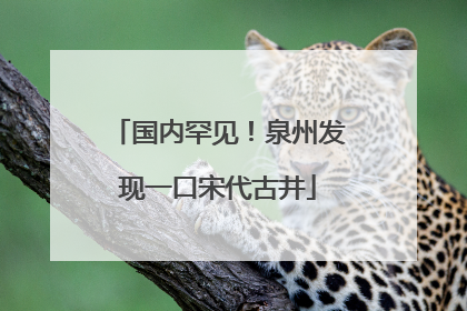 国内罕见！泉州发现一口宋代古井