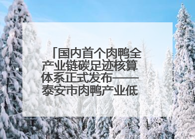 国内首个肉鸭全产业链碳足迹核算体系正式发布——泰安市肉鸭产业低碳发展标准示范项目顺利通过验收