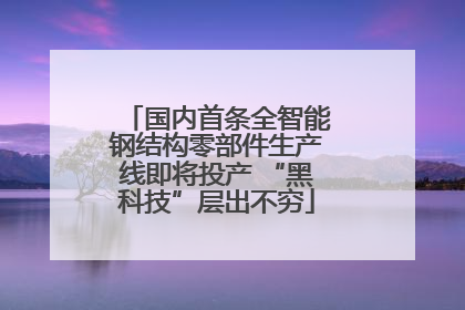 国内首条全智能钢结构零部件生产线即将投产 “黑科技”层出不穷
