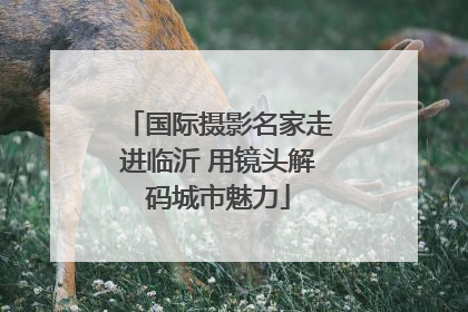 国际摄影名家走进临沂 用镜头解码城市魅力