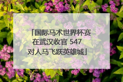 国际马术世界杯赛在武汉收官 547对人马飞跃英雄城