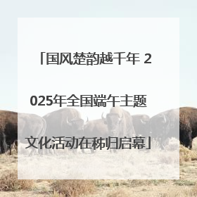 国风楚韵越千年 2025年全国端午主题文化活动在秭归启幕