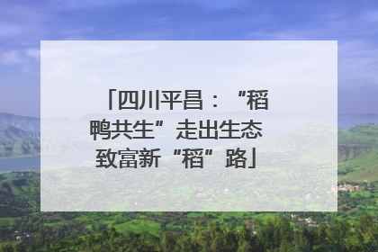 四川平昌：“稻鸭共生”走出生态致富新“稻”路