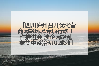 四川泸州召开优化营商网络环境专项行动工作推进会 涉企网络乱象集中整治初见成效