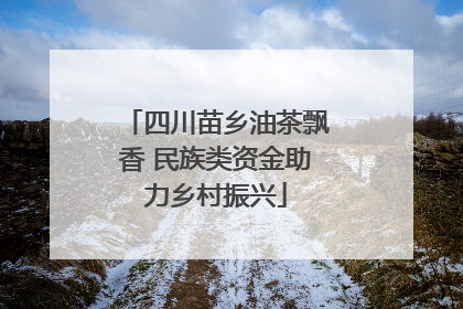 四川苗乡油茶飘香 民族类资金助力乡村振兴