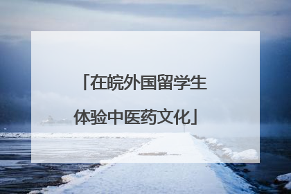 在皖外国留学生体验中医药文化
