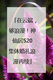 在云端，够浪漫！神仙居520集体婚礼浪漫再续