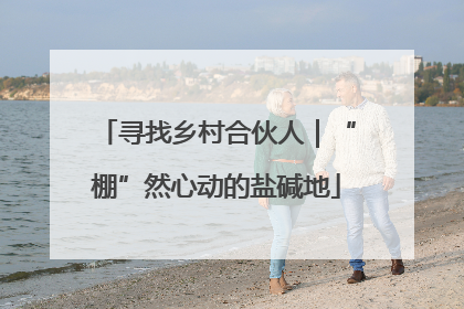 寻找乡村合伙人｜“棚”然心动的盐碱地