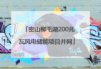 密山柳毛湖200兆瓦风电储能项目并网