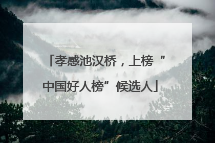 孝感池汉桥，上榜“中国好人榜”候选人