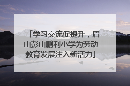 学习交流促提升，眉山彭山鹏利小学为劳动教育发展注入新活力