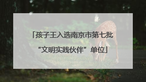 孩子王入选南京市第七批“文明实践伙伴”单位
