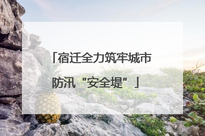 宿迁全力筑牢城市防汛“安全堤”