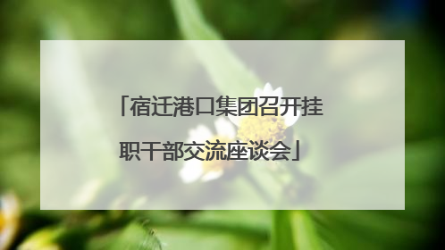 宿迁港口集团召开挂职干部交流座谈会
