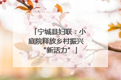 宁城县妇联：小庭院释放乡村振兴“新活力”