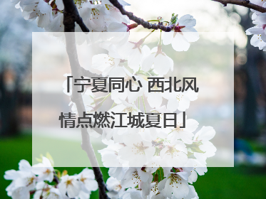 宁夏同心 西北风情点燃江城夏日