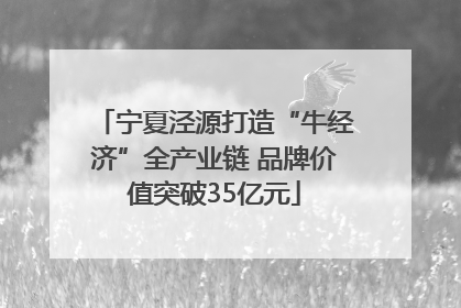宁夏泾源打造“牛经济”全产业链 品牌价值突破35亿元