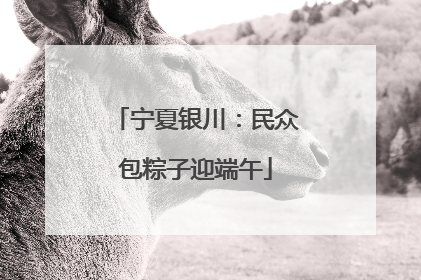 宁夏银川：民众包粽子迎端午