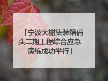 宁波大榭集装箱码头二期工程综合应急演练成功举行