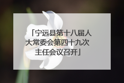 宁远县第十八届人大常委会第四十九次主任会议召开