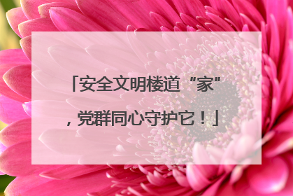 安全文明楼道“家”，党群同心守护它！