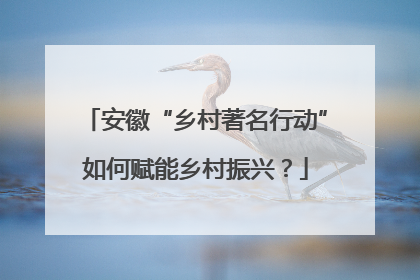 安徽“乡村著名行动”如何赋能乡村振兴？
