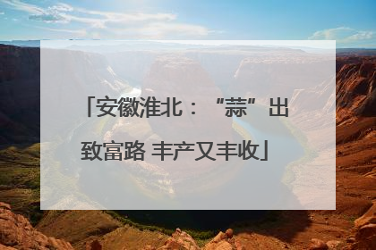 安徽淮北：“蒜”出致富路 丰产又丰收