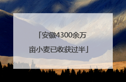安徽4300余万亩小麦已收获过半