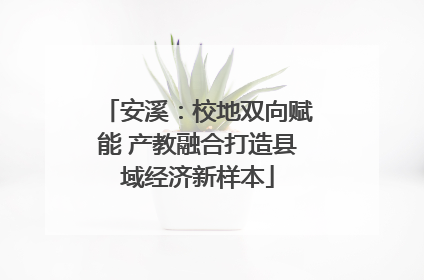 安溪：校地双向赋能 产教融合打造县域经济新样本