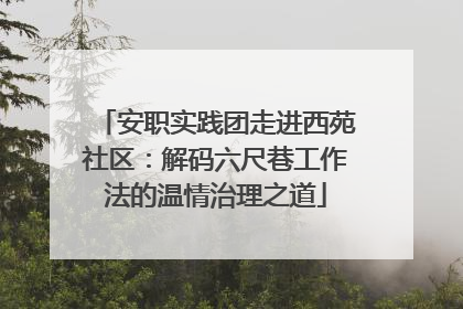 安职实践团走进西苑社区：解码六尺巷工作法的温情治理之道