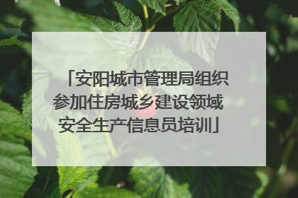 安阳城市管理局组织参加住房城乡建设领域安全生产信息员培训
