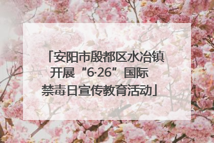 安阳市殷都区水冶镇开展“6·26”国际禁毒日宣传教育活动