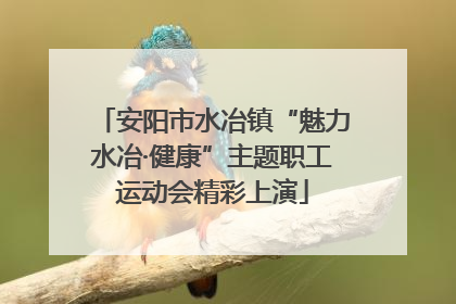 安阳市水冶镇“魅力水冶·健康”主题职工运动会精彩上演