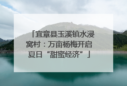 宜章县玉溪镇水浸窝村：万亩杨梅开启夏日“甜蜜经济”