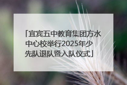 宜宾五中教育集团方水中心校举行2025年少先队退队暨入队仪式