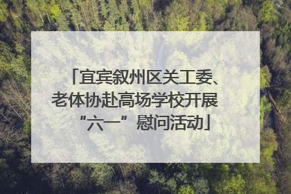 宜宾叙州区关工委、老体协赴高场学校开展“六一”慰问活动