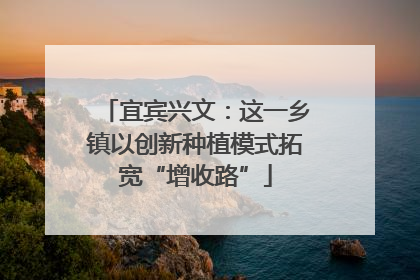 宜宾兴文：这一乡镇以创新种植模式拓宽“增收路”