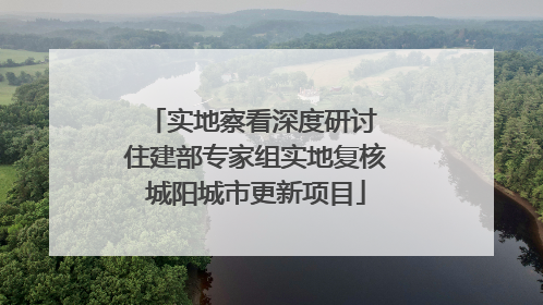 实地察看深度研讨 住建部专家组实地复核城阳城市更新项目