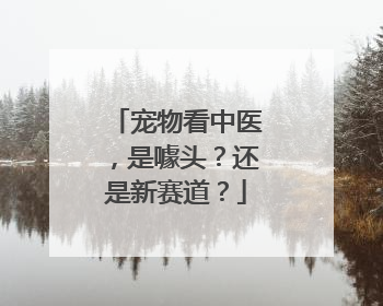 宠物看中医，是噱头？还是新赛道？