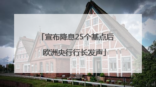 宣布降息25个基点后 欧洲央行行长发声