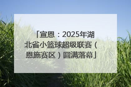 宣恩：2025年湖北省小篮球超级联赛（恩施赛区）圆满落幕