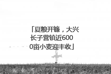 夏粮开镰，大兴长子营镇近6000亩小麦迎丰收