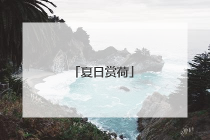 夏日赏荷