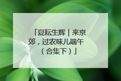 夏耘生辉|来京郊,过农味儿端午(合集下)