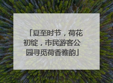 夏至时节，荷花初绽，市民游客公园寻觅荷香雅韵