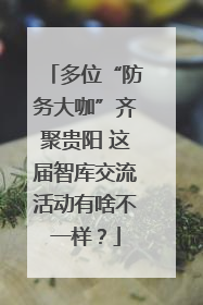 多位“防务大咖”齐聚贵阳 这届智库交流活动有啥不一样？