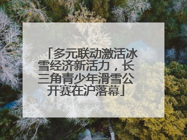 多元联动激活冰雪经济新活力，长三角青少年滑雪公开赛在沪落幕