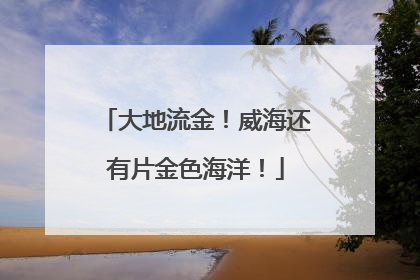 大地流金！威海还有片金色海洋！